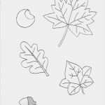 Impressum Blog Vorlage Hübsch Vorlage Für Das Herbstmobile