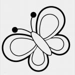 Impressum Datenschutz Vorlage Einzigartig Ausmalbild Natur Ein Schmetterling Kostenlos Ausdrucken