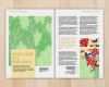 Impressum Magazin Vorlage Angenehm Magazin Seiten Vorlage