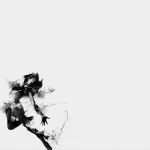 Impressum Tmg Vorlage Erstaunlich Impressum Angaben Gemäß § 5 Tmg Copa