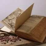 Impressum Vorlage Buch Schönste Impressum Mybiobalance Praxis Für Naturheilkunde