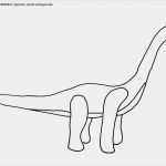 Impressum Vorlage Gewerblich Wunderbar Vorlage Mandalas