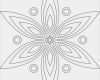 Impressum Vorlage HTML Angenehm Mandala Vorlage In Blütenform Zum Ausmalen Und Entspannen