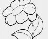 Impressum Vorlage Kostenlos Best Of Ausmalbild Blumen Kleine Blume Kostenlos Ausdrucken