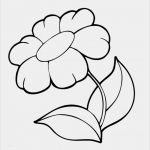 Impressum Vorlage Kostenlos Best Of Ausmalbild Blumen Kleine Blume Kostenlos Ausdrucken