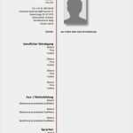 Impressum Vorlage Kostenlos Beste Lebenslauf Vorlage Schweiz