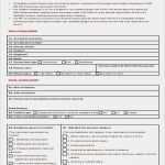 Incident Report Vorlage Neu 98 Construction Accident Report form Construction
