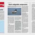 Indesign In Word Vorlage Wunderbar Vorlage Für Eine Zeitung A4 Für Adobe Indesign