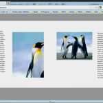 Indesign Katalog Vorlage Großartig Pdf Zum Blättern Indesign Cs5 Tutorial Page Flipping