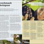 Indesign Layout Vorlagen Zeitschrift Angenehm Satzspiegel Spalten Und Stege Gestaltungsraster Anlegen