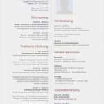 Indesign Lebenslauf Vorlage Elegant Lebenslauf Muster Für Publisher