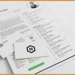 Indesign Lebenslauf Vorlage Gut 14 Indesign Lebenslauf