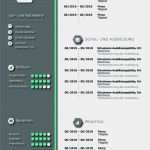 Indesign Lebenslauf Vorlage Süß Ausgezeichnet Vorlage Lebenslauf Indesign Fotos Entry