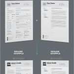 Indesign Lebenslauf Vorlage Wunderbar Resume Cv Template Word and Indesign Resume
