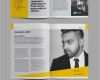 Indesign Plakat Vorlage Hübsch Creative Annual Report 2017 Brochure Template