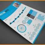 Indesign Tabelle Vorlage Beste 12 Lebenslauf Mit Indesign