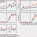 Indesign Vorlage Bewerbung Best Of 57 Zeitung Vorlage Indesign Laurencopeland