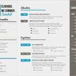 Indesign Vorlage Bewerbung Cool 14 Indesign Lebenslauf