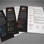 Indesign Vorlage Bewerbung Fabelhaft 20 Resume Templates Für Deinen Traumjob