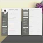 Indesign Vorlage Bewerbung Kostenlos Beste 15 Indesign Lebenslauf