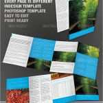 Indesign Vorlage Broschüre A5 Großartig 11 Illustrator Brochures