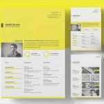 Indesign Vorlage Lebenslauf Genial Finden Sie Perfekte Indesign Lebenslauf Vorlage Um