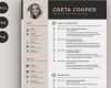 Indesign Vorlage Lebenslauf Hübsch Indesign Template Resume