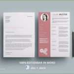 Indesign Vorlage Lebenslauf Schön June 2018