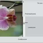 Indesign Vorlage Postkarte Erstaunlich Vorlage Für Eine Postkarte Din A6 Für Adobe Indesign