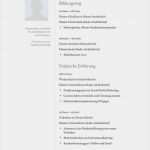 Indesign Vorlagen Bewerbung Großartig Klassisch Stilvolles Lebenslauf Muster In Einspaltigen