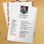 Indesign Vorlagen Bewerbung Gut Bewerbungsvorlage orange Pattern Jetzt Kostenlos Herunterladen