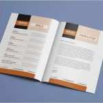 Indesign Vorlagen Bewerbung Wunderbar 13 Vorlagen Indesign Lebenslauf Vorlagen Einfacher Schritt