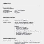 Individuelle Bewerbung Vorlage Hübsch Bewerbung Bäckereifachverkäufer Berufseinsteiger