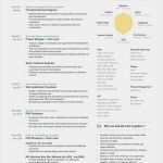 Infografik Lebenslauf Vorlage Beste 1221 Besten Infographic Visual Resumes Bilder Auf