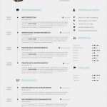 Infografik Lebenslauf Vorlage Schön Lebenslauf 51 Bewerbungen