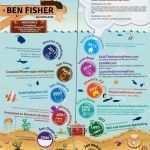 Infografik Lebenslauf Vorlage Schön Lebenslaufdesign Tipps Dich Herausstechen Lassen