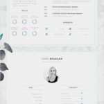 Infografik Lebenslauf Vorlage Wunderbar Professional Cv Template Bundle