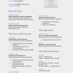 Initiativbewerbung Schreiben Vorlage Cool Initiativbewerbung Muster Für Bwl