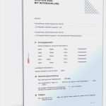 Inkasso Ratenzahlung Vorlage Bewundernswert 13 Ratenzahlung Brief Muster