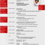 Innovativer Lebenslauf Vorlage Elegant Beispiele Zum Innovativen Lebenslauf
