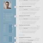 Innovativer Lebenslauf Vorlage Fabelhaft Innovativer Lebenslauf Vorlage Großartig Premium
