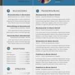 Innovativer Lebenslauf Vorlage Süß Innovativer Lebenslauf Vorlage