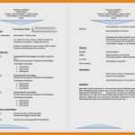 Instagram Biografie Vorlagen Zum Kopieren Wunderbar 4 5 Biografischer Lebenslauf