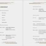 Internationaler Lebenslauf Vorlage Beste Lebenslauf Muster Weiterbildung