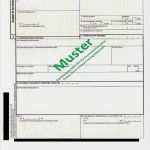 Internationaler Lebenslauf Vorlage Elegant Groß Cmr Vorlage Ideen Beispiel Anschreiben Für