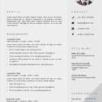 Internationaler Lebenslauf Vorlage Genial Cv Sjabloon 30 Voorbeeld Cv Sjabloon In Word