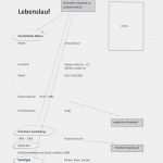 Internationaler Lebenslauf Vorlage Schön Lebenslauf Schreiben so Bitte Nicht