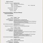 Internationaler Lebenslauf Vorlage Wunderbar Berühmt Führerschein Vorlage Galerie