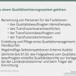 Interne Audits Vorlage Neu Qualitätsmanagement In Der Hämotherapie Pdf