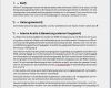 Interne Audits Vorlage Wunderbar Editierbare Word Vorlage
